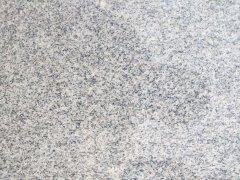 萊州芝麻白